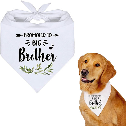 Promoted big brother - promoted, dog