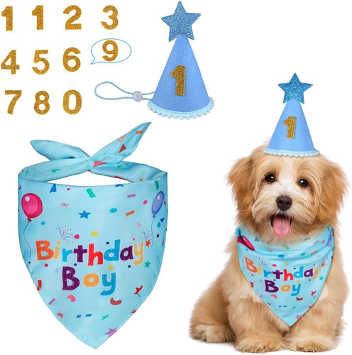 Adjustable dog birthday hat - adjustable,