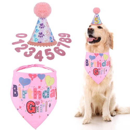 Dog birthday bandana - pet, party