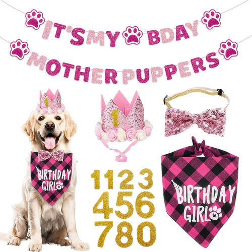 Dog birthday party supplies - dog,